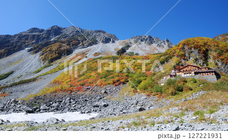 初冠雪の穂高の山々と錦秋の上高地，北穂涸沢登山コースを彩る紅葉の木々(見ごろ)～ワイドパノラマビュー 127221931