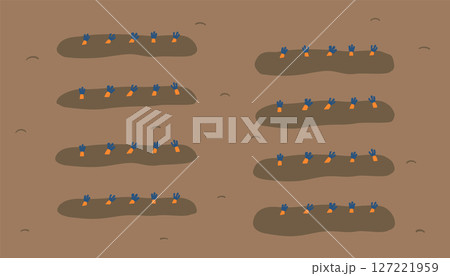 にんじん畑のイラスト 127221959
