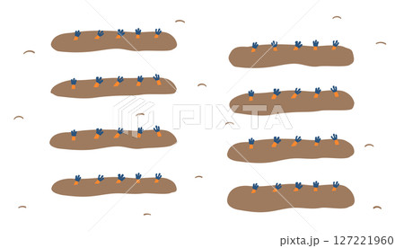 にんじん畑のイラスト 127221960