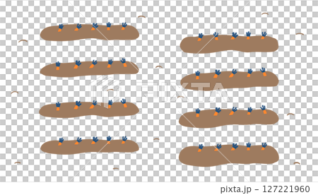 にんじん畑のイラスト 127221960