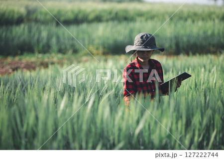 wheat farmer harvest business concept farming agronomist analyzing data barley examines food field summer cereal agriculture Smart farm modern management growth control organic summer background blur wheat farmer harvest business concept farming agronomist analyzing data barley examines food field summer cereal agriculture Smart farm modern management growth control organic summer background blur 127222744