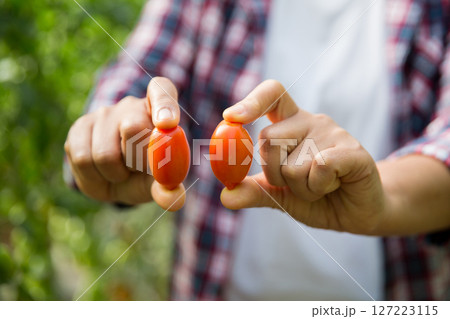 Smart farming techniques hydroponic salad vegetables technology tomato red green ensuring fresh sustainable produce agriculture promotes healthy eating support farmer living local community non gmo 127223115