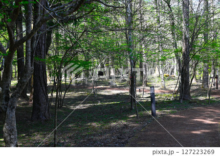 箱根ハイランドホテルの景色 箱根ハイランドホテルの景色 127223269