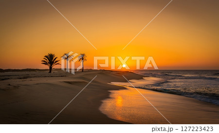 Golden hour serenity palm trees silhouetted against a vibrant beach sunset with gentle waves and warm reflection Golden hour serenity palm trees silhouetted against a vibrant beach sunset with gentle waves and warm reflection 127223423