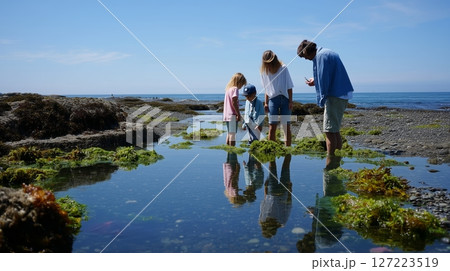 Family exploring tidal pools on a sunny day at the beach, enjoying the beauty of nature together 127223519