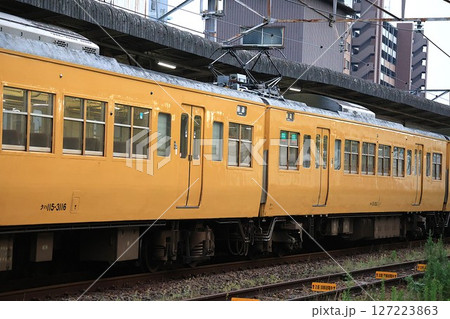 【JR西日本】115系3000番台と115系3500番台(山陽本線:下関駅) 【JR西日本】115系3000番台と115系3500番台(山陽本線:下関駅) 127223863