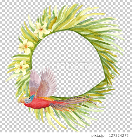 Flying golden pheasant, palm leaves and white tropical flowers watercolor wreath. Hand drawn rainforest nature isolated clipart, sketch style. Exotic paradise bird and plants round frame illustration Flying golden pheasant, palm leaves and white tropical flowers watercolor wreath. Hand drawn rainforest nature isolated clipart, sketch style. Exotic paradise bird and plants round frame illustration 127224275