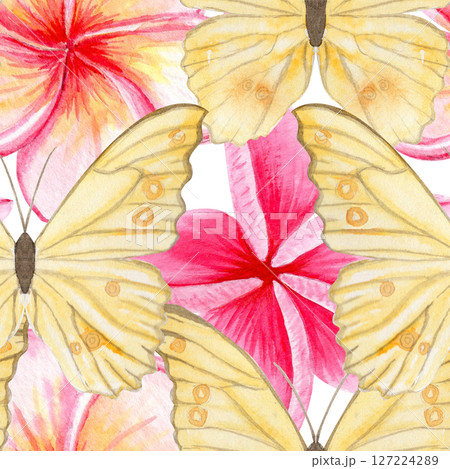 Yellow butterflies, pink tropical plumeria flowers seamless watercolor pattern. Hand painted for textile design, summer packaging, wedding decor, branding, stationery, digital products. Isolated on 127224289