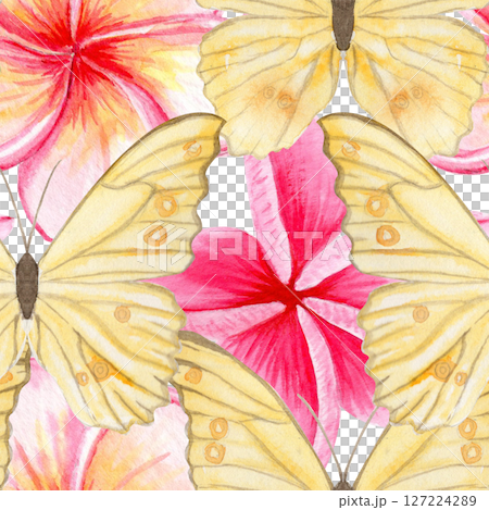 Yellow butterflies, pink tropical plumeria flowers seamless watercolor pattern. Hand painted for textile design, summer packaging, wedding decor, branding, stationery, digital products. Isolated on 127224289