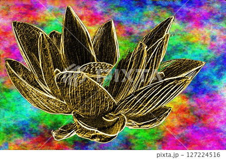 古代ハス　（加工） 127224516