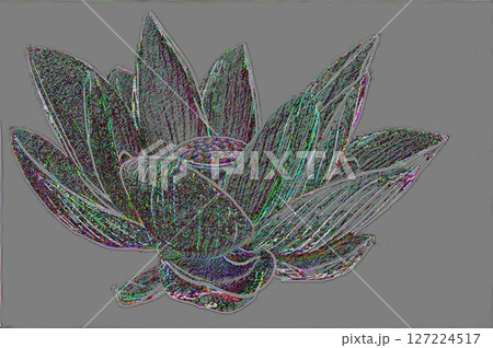 古代ハス　（加工） 127224517