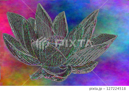 古代ハス　（加工） 127224518