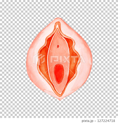 Infertility, pregnancy, female genitals, reproductive organs, watercolor illustration 127224718