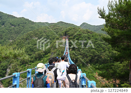 【韓国/江原道/原州】小金山グランドバレーの吊り橋 127224849
