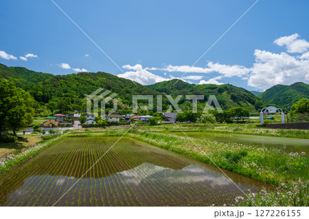 長和町の水田風景 のどかな田舎 長和町の水田風景 のどかな田舎 127226155