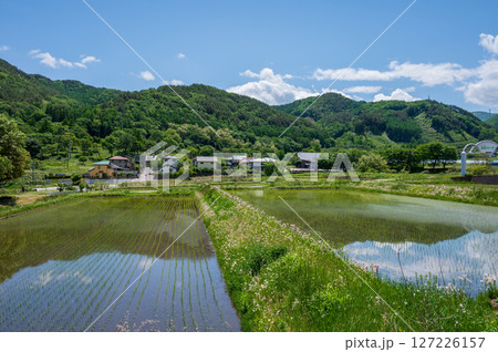 長和町の水田風景 のどかな田舎 長和町の水田風景 のどかな田舎 127226157