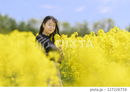満開の菜の花畑を観光する女性 満開の菜の花畑を観光する女性 127226739
