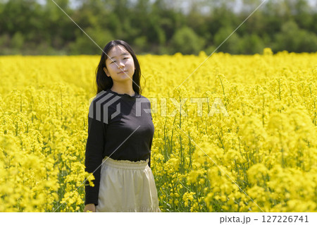 満開の菜の花畑を観光する女性 満開の菜の花畑を観光する女性 127226741