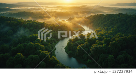 Aerial view of meandering river through green forest, mist rising, early morning light, high angle 127227934