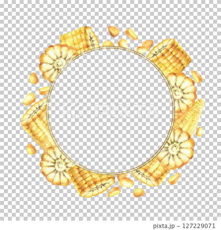 Sweet Corn cobs with maize kernels gold framed wreath. Whole and sliced corncobs circle frame. Watercolor realistic yellow plant card template Painted illustration for canned food, oil label. Isolated 127229071