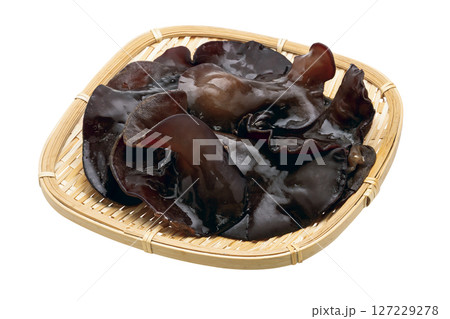 キクラゲ_06（切抜きパス付き） 127229278