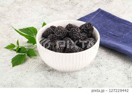 Natural organic sweet ripe blackberry 127229442