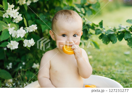 Baby Sitting In Bowl And Biting Orange Slice Outdoors Baby Sitting In Bowl And Biting Orange Slice Outdoors 127231277