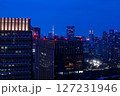 東京タワーとビル群の夜景 127231946
