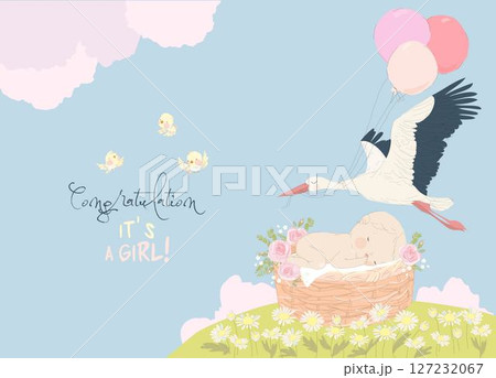 Stork delivering Baby Girl. It s a Girl. Baby Shower Card 127232067