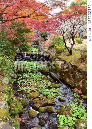 静岡県 熱海梅園梅見の滝付近の色鮮やかな紅葉と清流 静岡県 熱海梅園梅見の滝付近の色鮮やかな紅葉と清流 127232579