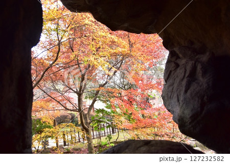 静岡県 熱海梅園梅見の滝付近の色鮮やかな紅葉 静岡県 熱海梅園梅見の滝付近の色鮮やかな紅葉 127232582