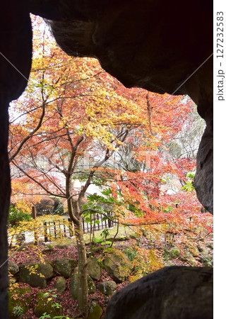 静岡県　熱海梅園梅見の滝付近の色鮮やかな紅葉 127232583