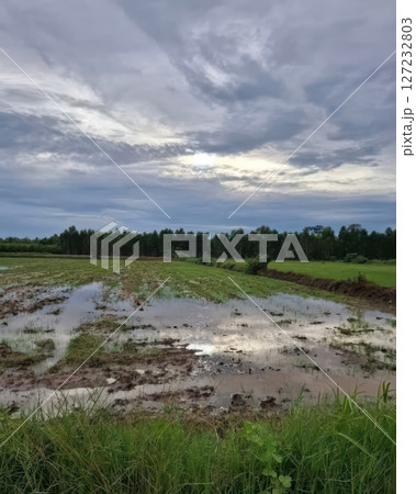 Serene Landscape of Open Field with Water Reflection and Clouds 127232803