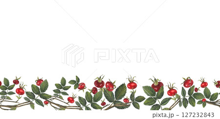 Horizontal seamless border of rose hips berries and leaves Illustration isolated on white background for fabric, textile, prints, design, cards. Horizontal seamless border of rose hips berries and leaves Illustration isolated on white background for fabric, textile, prints, design, cards. 127232843