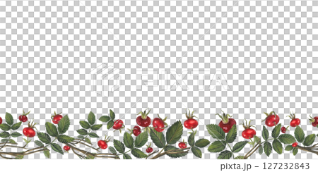 Horizontal seamless border of rose hips berries and leaves Illustration isolated on white background for fabric, textile, prints, design, cards. Horizontal seamless border of rose hips berries and leaves Illustration isolated on white background for fabric, textile, prints, design, cards. 127232843