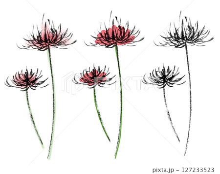 彼岸花・曼珠沙華(植物2) 彼岸花・曼珠沙華(植物2) 127233523