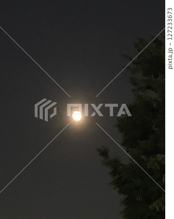 ストロベリームーンの次の日 2025 127233673