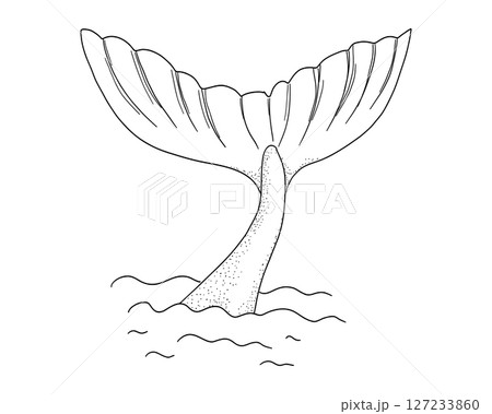 Whale tail retro dots texture with water splash circles stars line sketch minimal geometric tattoo. Mermaid or ocean mammal with waves vintage. Whale tail retro dots texture with water splash circles stars line sketch minimal geometric tattoo. Mermaid or ocean mammal with waves vintage. 127233860