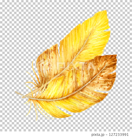 Hand-painted watercolor illustration of two yellow and brown bird feathers. Ideal for spring designs, boho decor, rustic themes, Easter elements, and natural woodland compositions. Hand-painted watercolor illustration of two yellow and brown bird feathers. Ideal for spring designs, boho decor, rustic themes, Easter elements, and natural woodland compositions. 127233991