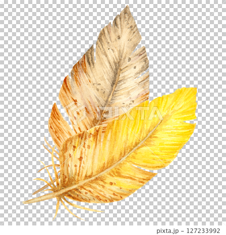 Watercolor illustration of two bird feathers in warm yellow and brown tones. Natural hand-painted composition suitable for spring designs, boho style, Easter decor, and rustic nature projects. Watercolor illustration of two bird feathers in warm yellow and brown tones. Natural hand-painted composition suitable for spring designs, boho style, Easter decor, and rustic nature projects. 127233992