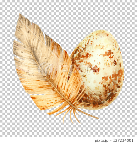 Watercolor illustration of a brown feather and speckled egg. A natural spring-themed composition perfect for Easter designs, wildlife projects, and rustic, eco-inspired creative works. 127234001