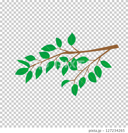 Deep green season young leaves illustration 127234265