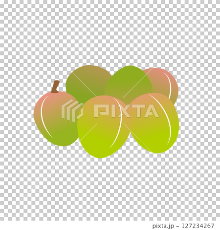 Plum illustrations 127234267