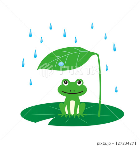 雨宿りしているカエル　イラスト 127234271