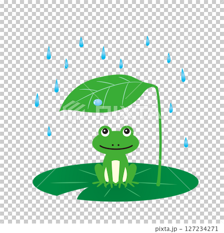 青蛙避雨插畫 127234271