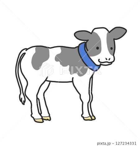ネックウォーマーを巻いているホルスタイン子牛のイラスト ネックウォーマーを巻いているホルスタイン子牛のイラスト 127234331