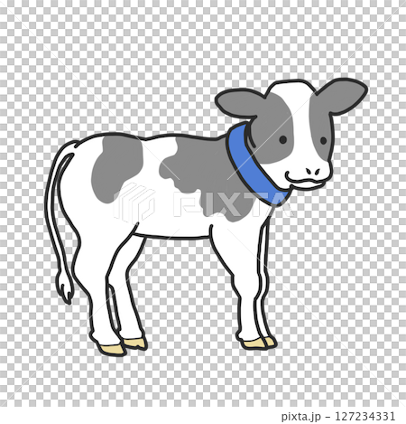 ネックウォーマーを巻いているホルスタイン子牛のイラスト ネックウォーマーを巻いているホルスタイン子牛のイラスト 127234331