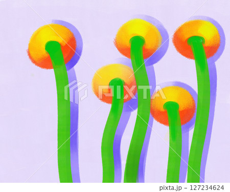 グラフィカルな植物のイラスト グラフィカルな植物のイラスト 127234624