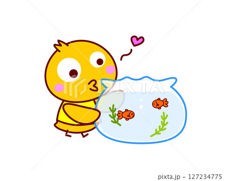 金魚を眺めるひよこ 金魚を眺めるひよこ 127234775