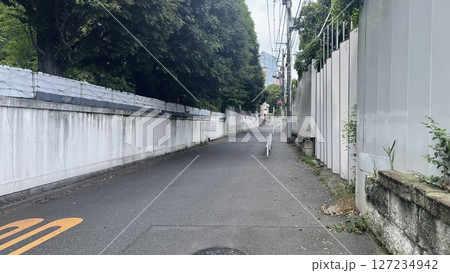 東京都港区南麻布の高級住宅街 東京都港区南麻布の高級住宅街 127234942